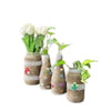 Handmade Rustic Jute-Wrapped Flower Vases – Boho Decorative Bottle Set for Home & Office